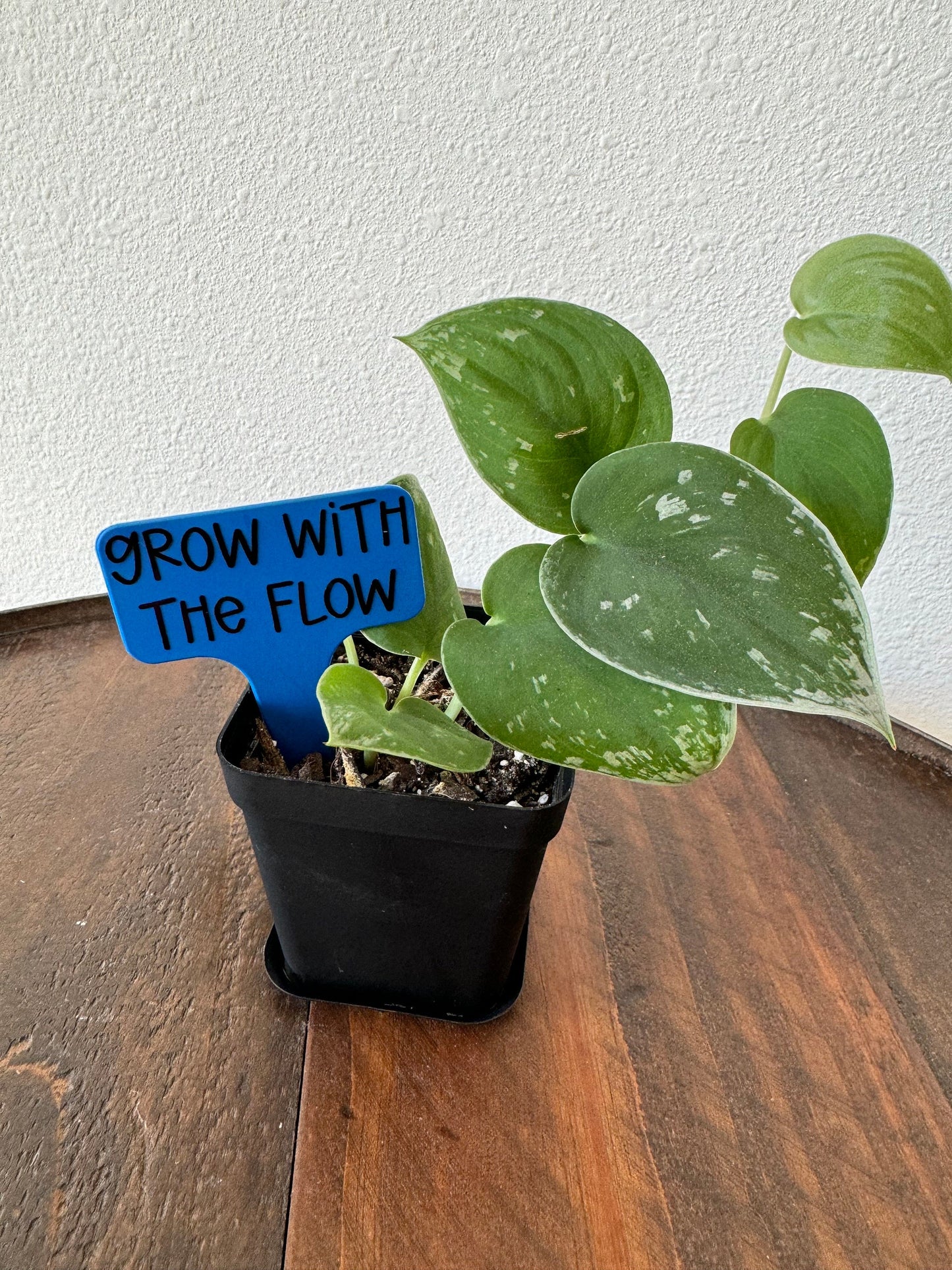 Funny Plant Stakes, Indoor Plant Markers, Plastic Plant Tags