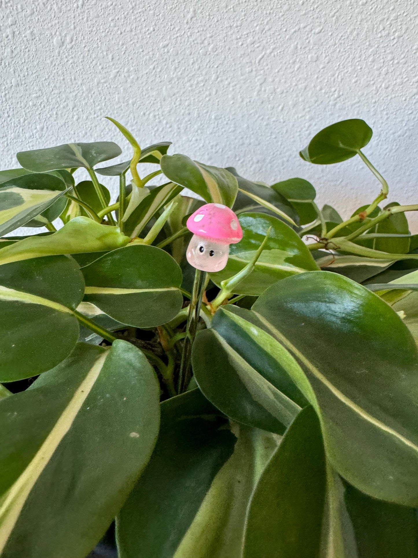 Plant Buddy - Mushrooms - Plant Stake 6" Plant Decoration