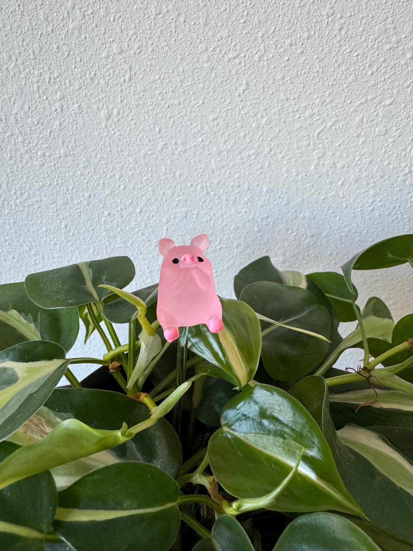 Plant Buddy Posing Pigs - Plant Stake 6" Plant Decoration