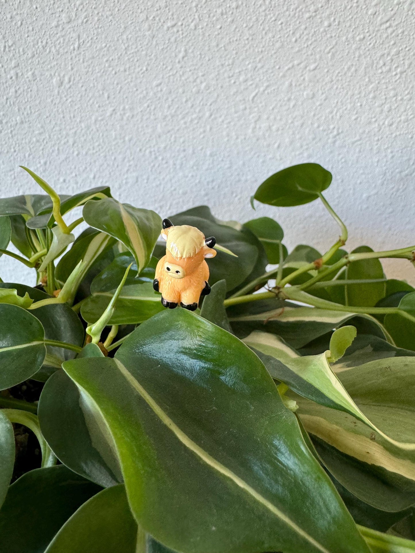 Plant Buddy - Highland Cow - Plant Stake 6" Plant Decoration