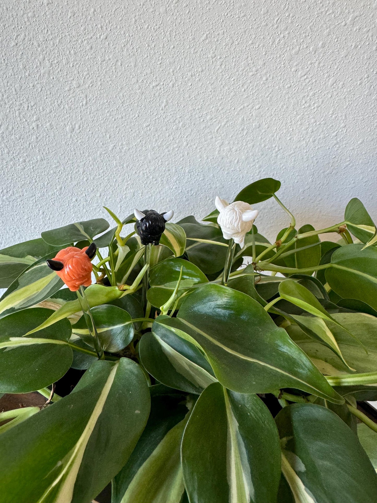 Plant Buddy - Highland Cow - Plant Stake 6" Plant Decoration