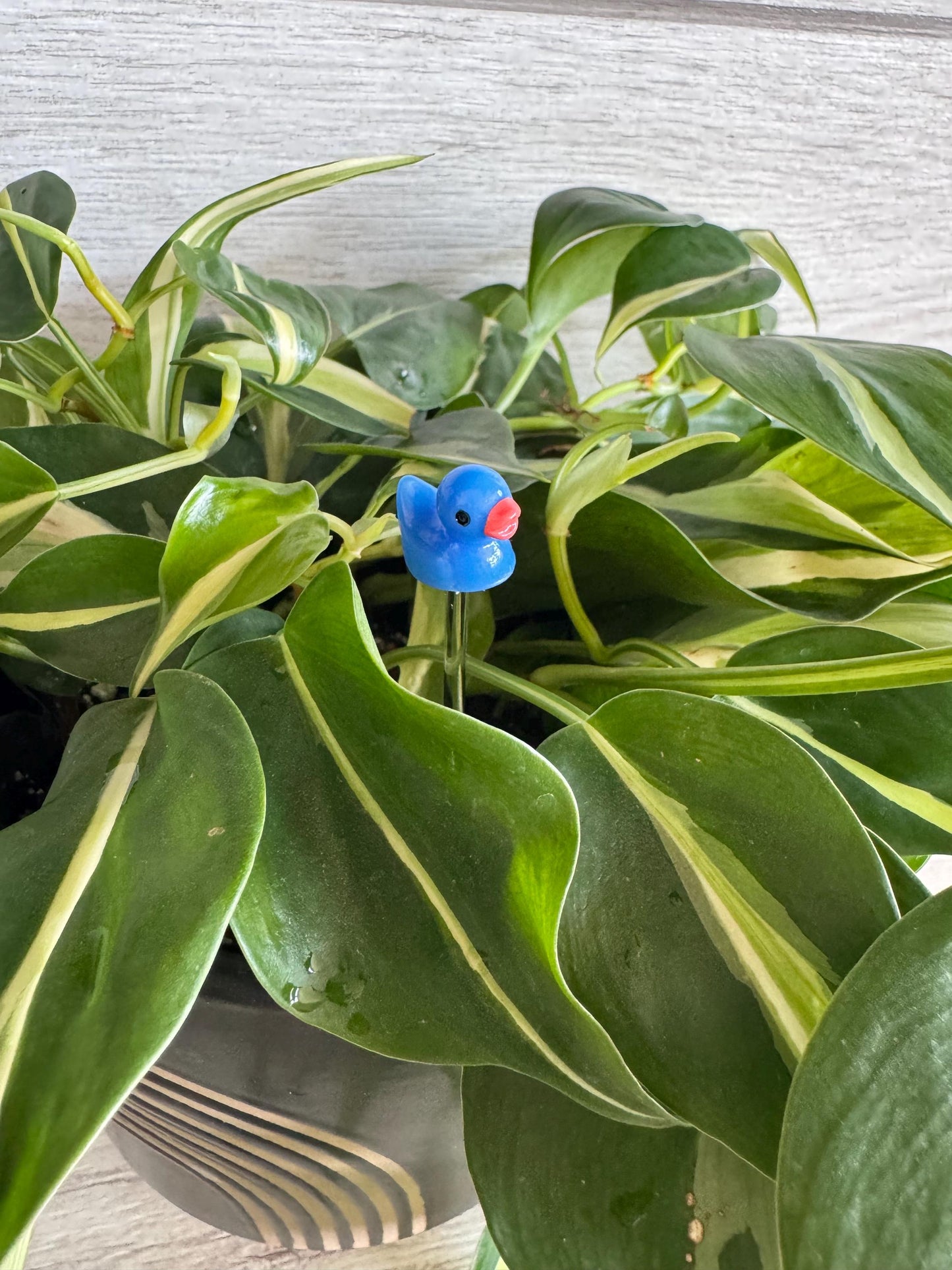 Plant Buddy Small Duck - Plant Stake 4” plant decoration