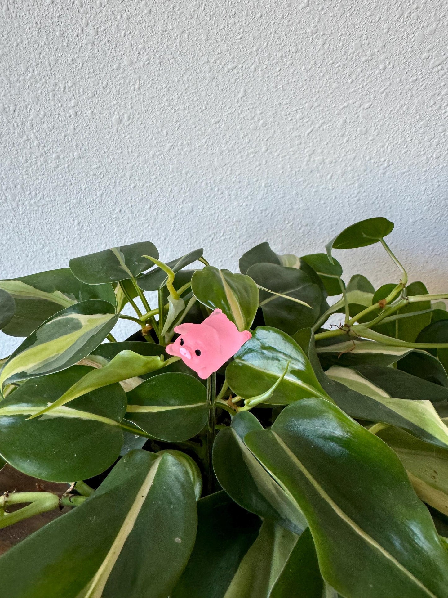 Plant Buddy Posing Pigs - Plant Stake 6" Plant Decoration