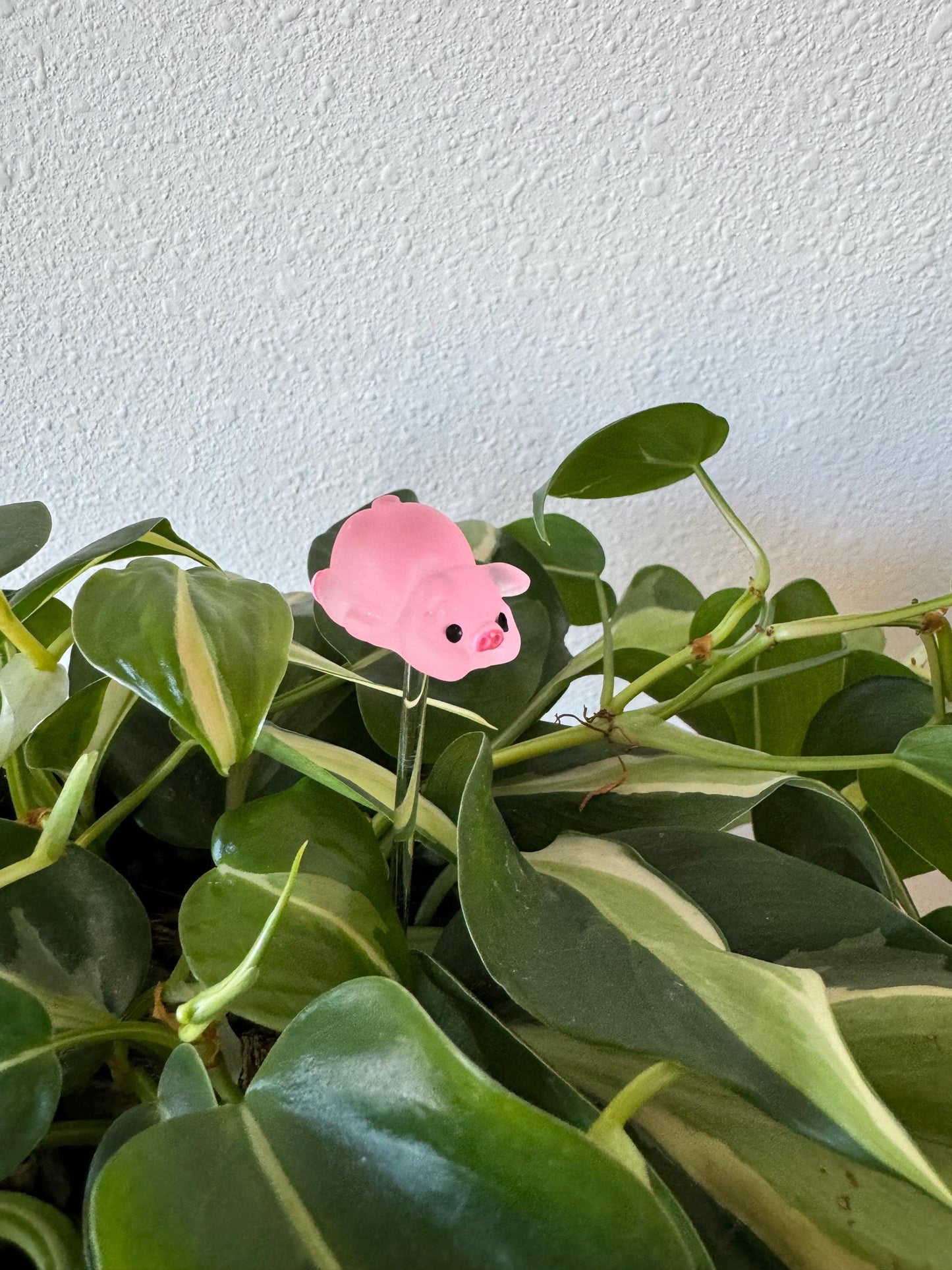 Plant Buddy Posing Pigs - Plant Stake 6" Plant Decoration