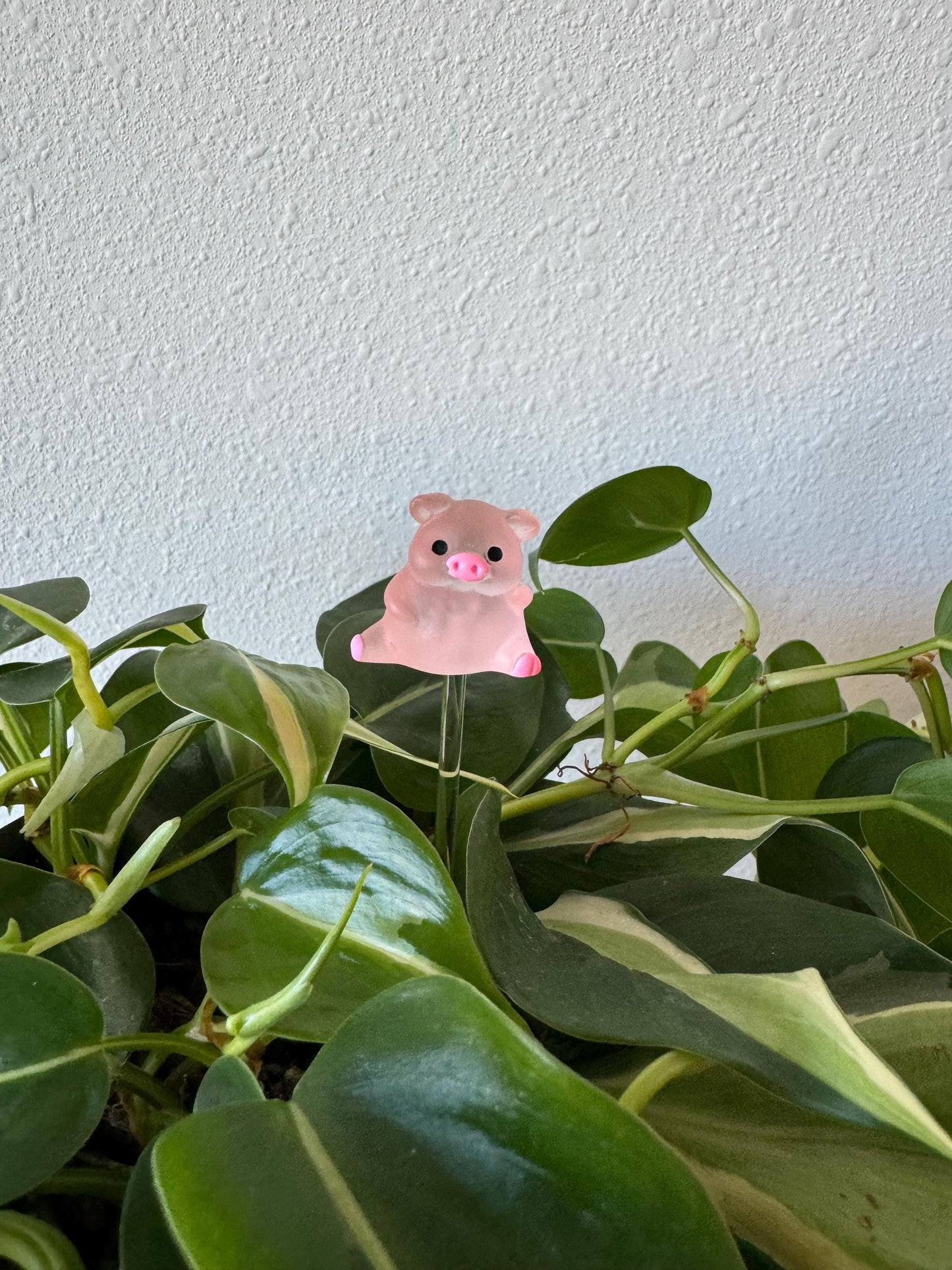 Plant Buddy Posing Pigs - Plant Stake 6" Plant Decoration