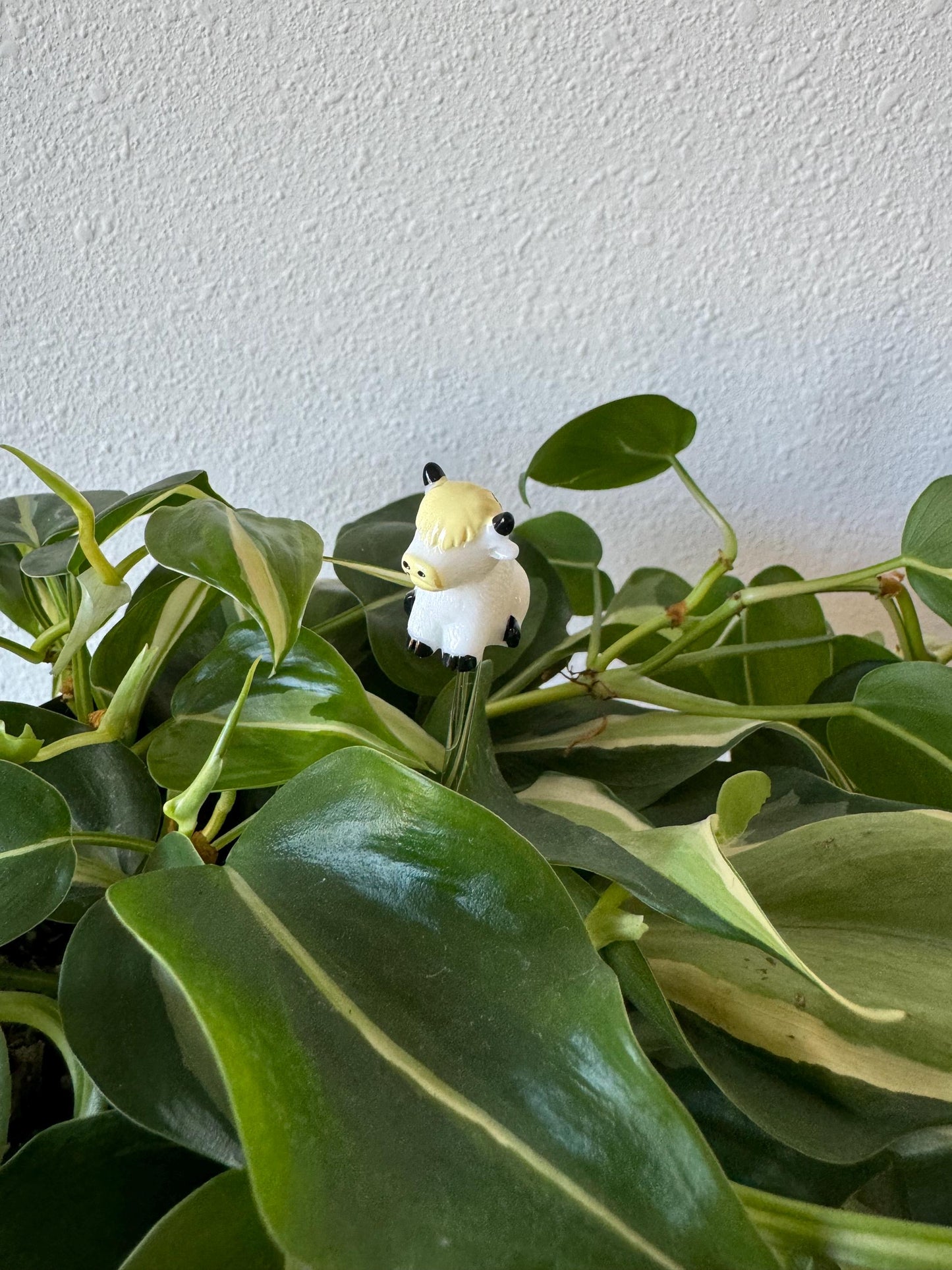Plant Buddy - Highland Cow - Plant Stake 6" Plant Decoration
