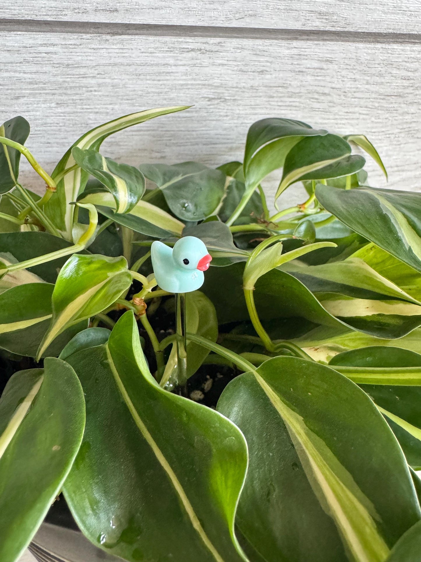Plant Buddy Small Duck - Plant Stake 4” plant decoration