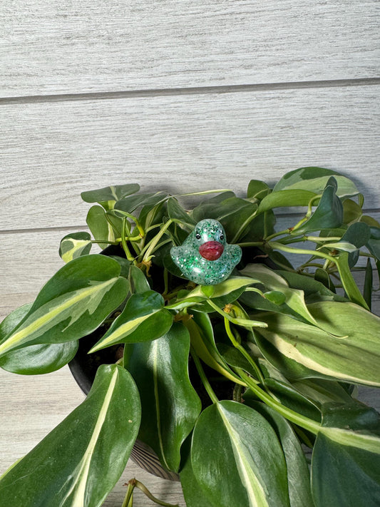 Plant Buddy - Glitter Rubber Ducks - Plant Stake 6" Plant Decoration