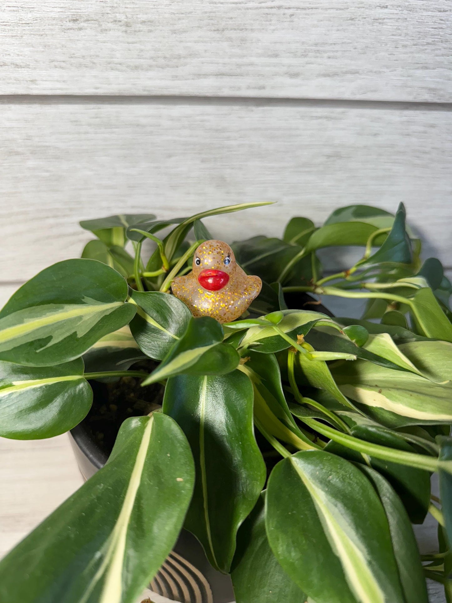 Plant Buddy - Glitter Rubber Ducks - Plant Stake 6" Plant Decoration