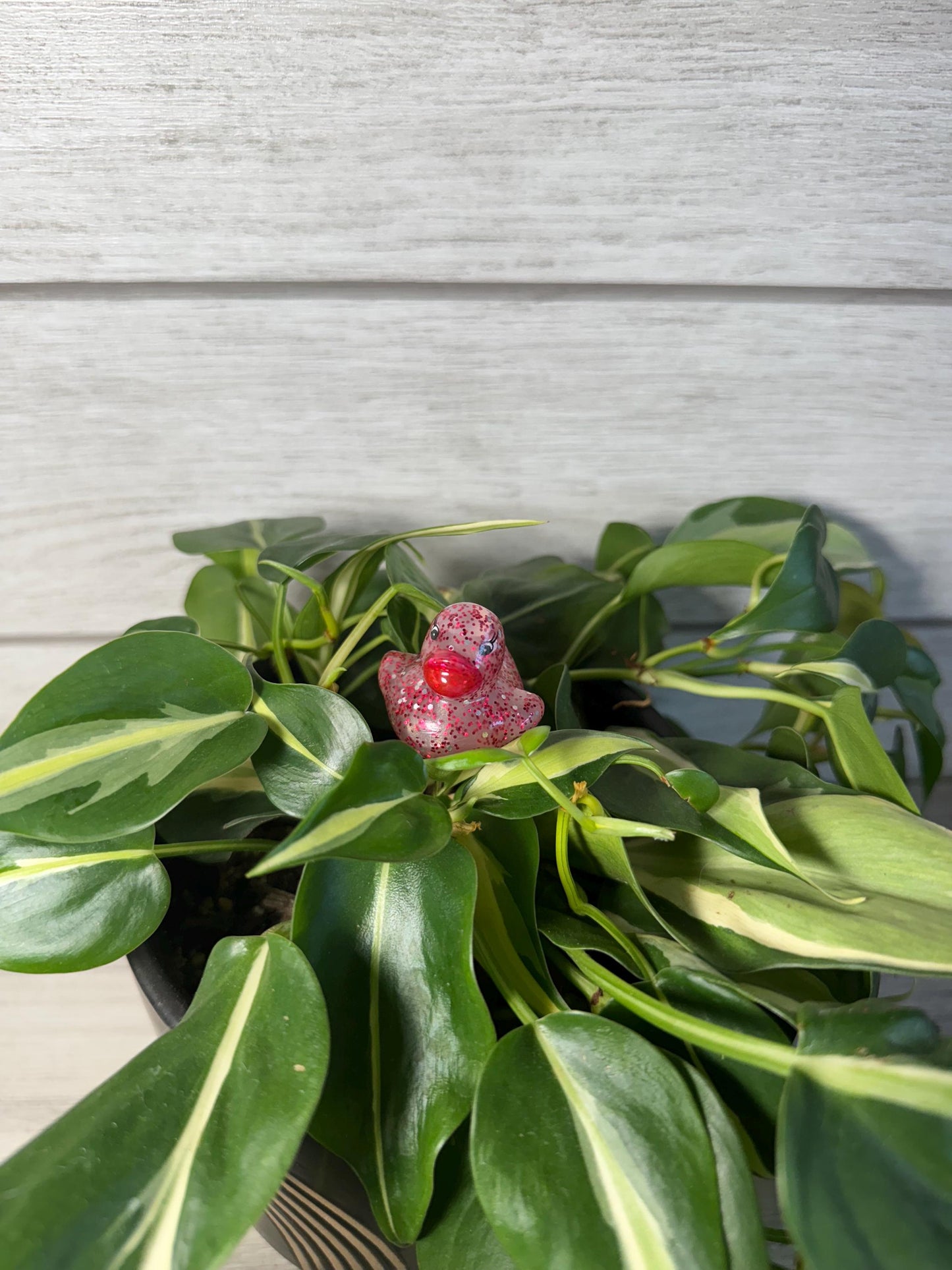 Plant Buddy - Glitter Rubber Ducks - Plant Stake 6" Plant Decoration