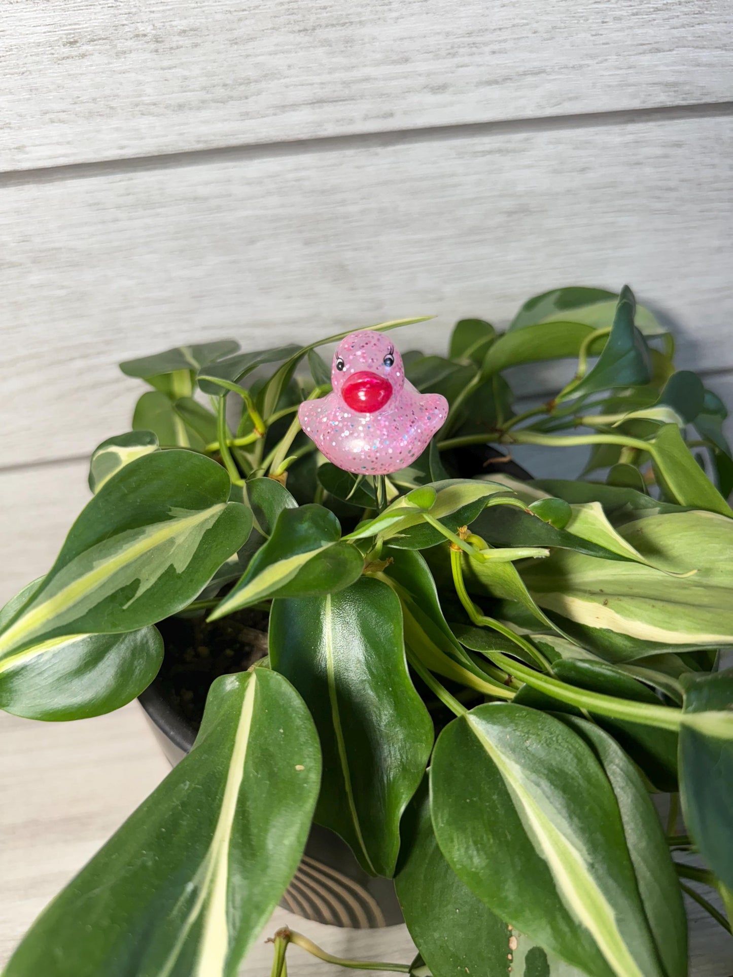 Plant Buddy - Glitter Rubber Ducks - Plant Stake 6" Plant Decoration