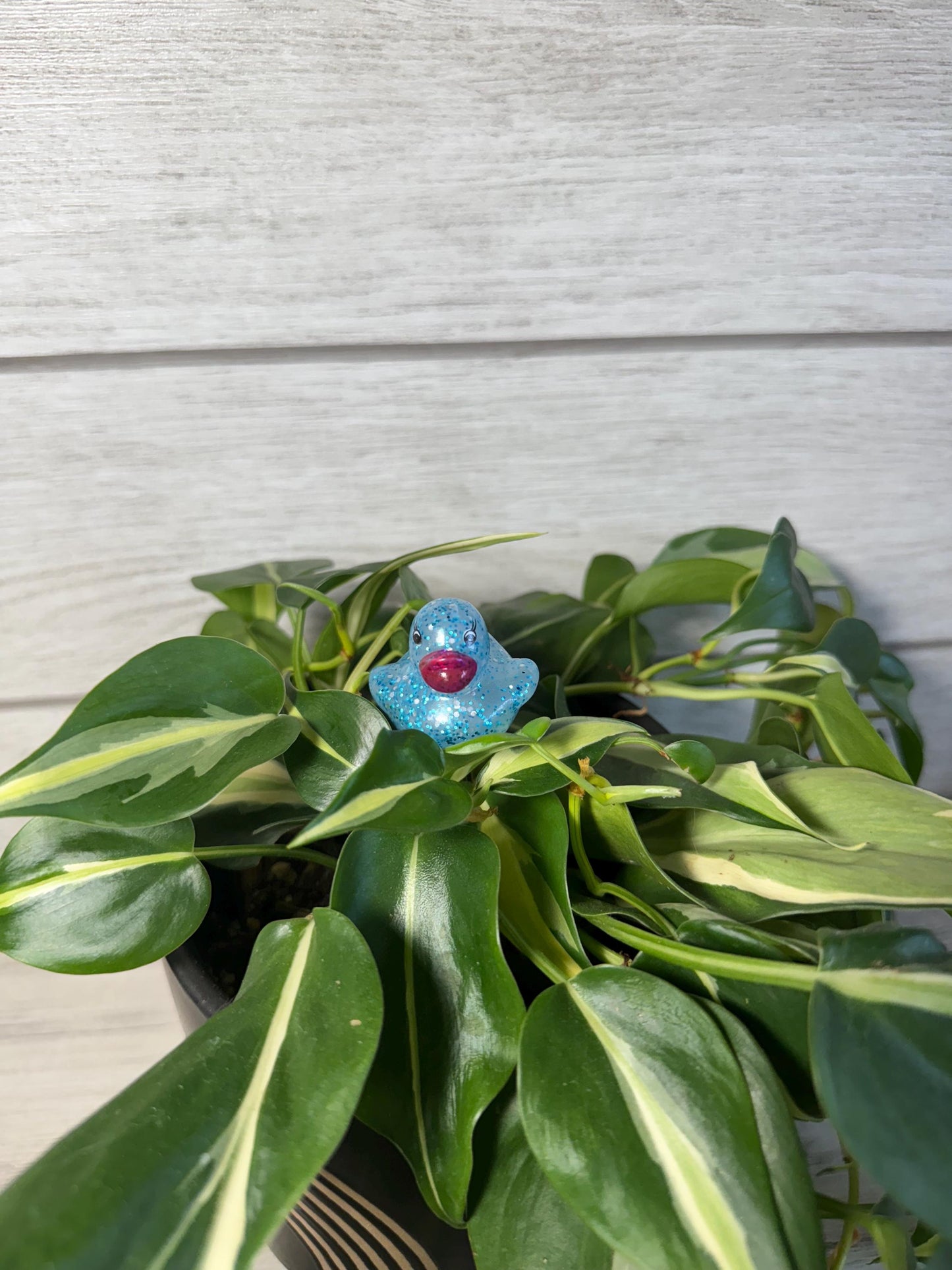 Plant Buddy - Glitter Rubber Ducks - Plant Stake 6" Plant Decoration
