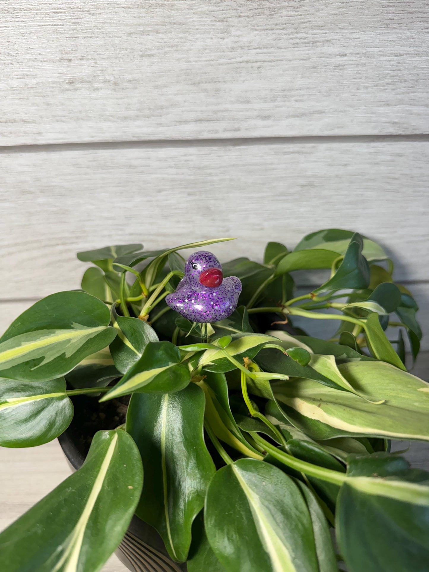Plant Buddy - Glitter Rubber Ducks - Plant Stake 6" Plant Decoration
