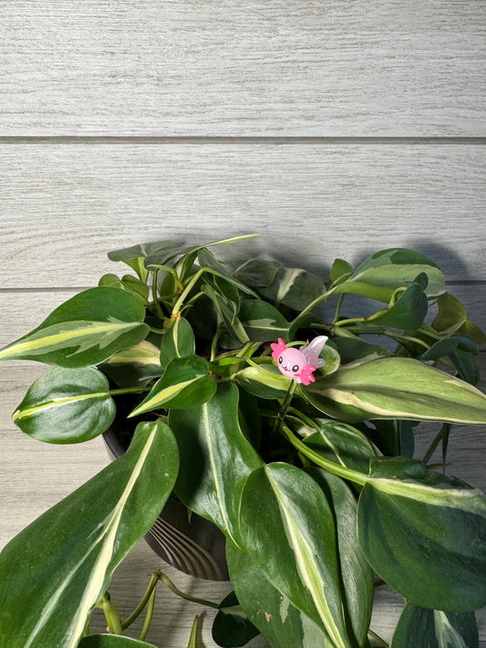 Plant Buddy - Animals - Plant Stake 6" Plant Decoration