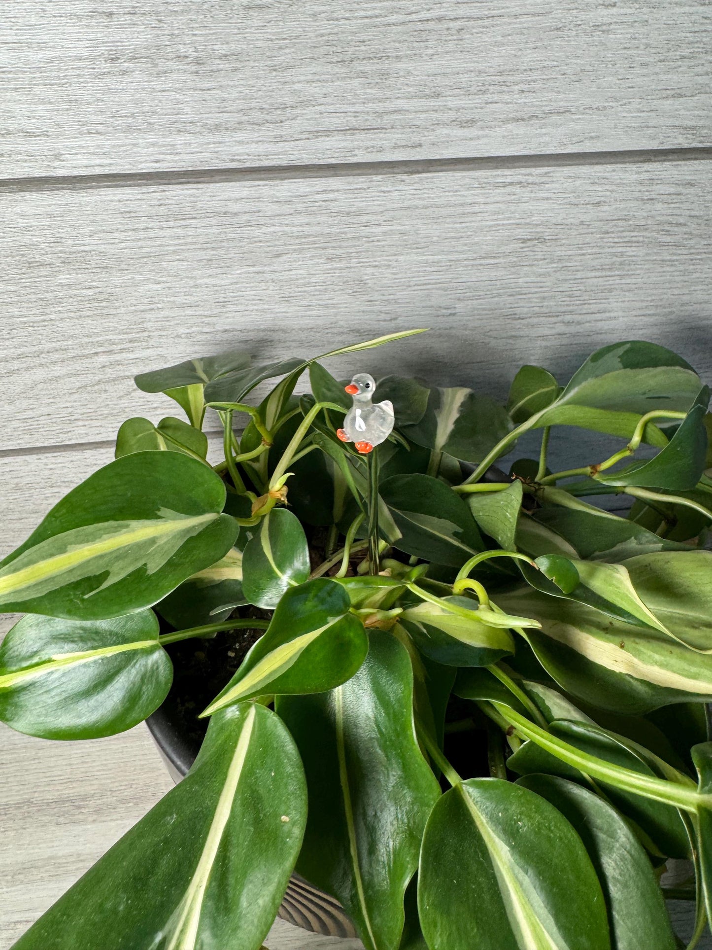 Plant Buddy - Animals - Plant Stake 6" Plant Decoration