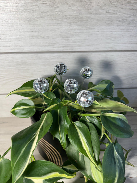 Plant Buddy - Disco Ball - Plant Stake 6" Plant Decoration