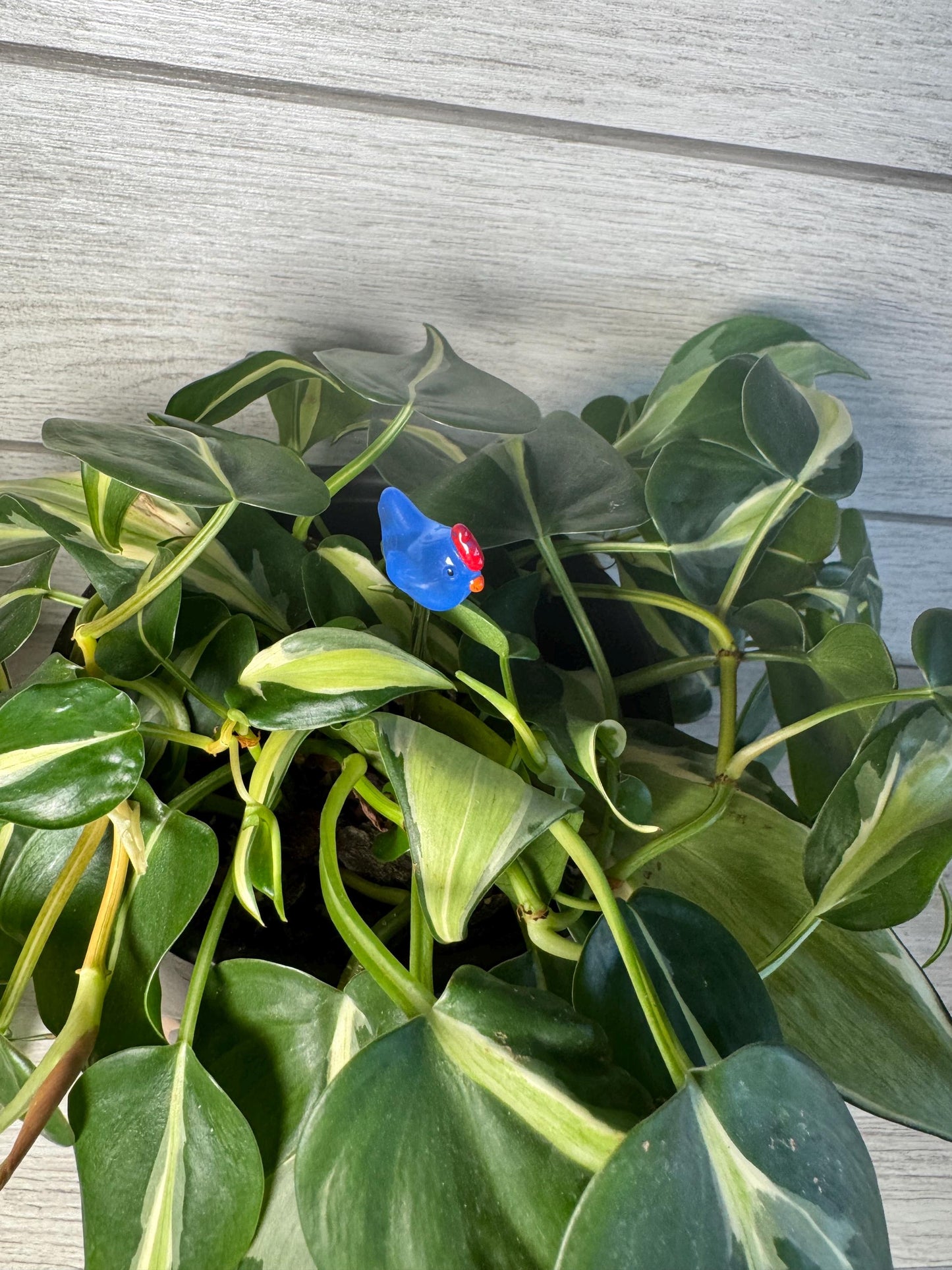 Plant Buddy - Chickens - Plant Stake 6" Plant Decoration