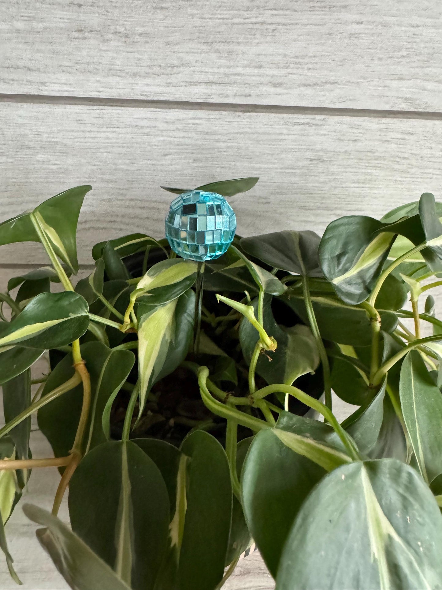 Plant Buddy - Disco Ball - Plant Stake 6" Plant Decoration
