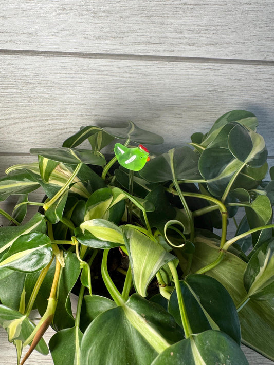 Plant Buddy - Chickens - Plant Stake 6" Plant Decoration