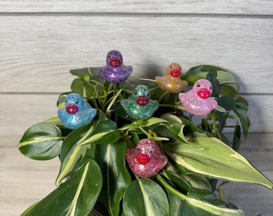 Plant Buddy - Glitter Rubber Ducks - Plant Stake 6 Plant Decoration