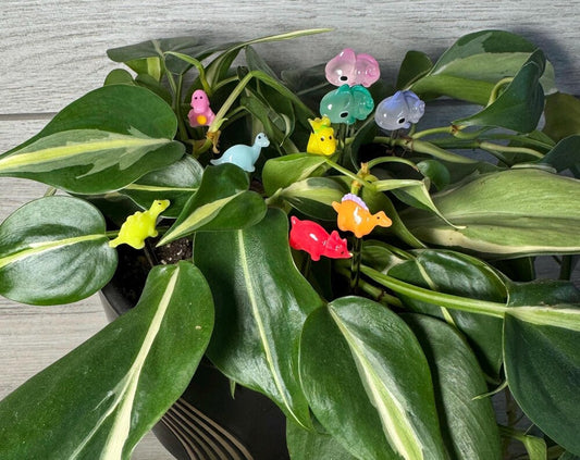 Plant Buddy - Small Dinosaurs & Chameleons - Plant Stake 4 Plant Decoration