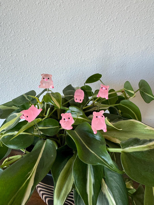 Plant Buddy Posing Pigs - Plant Stake 6" Plant Decoration