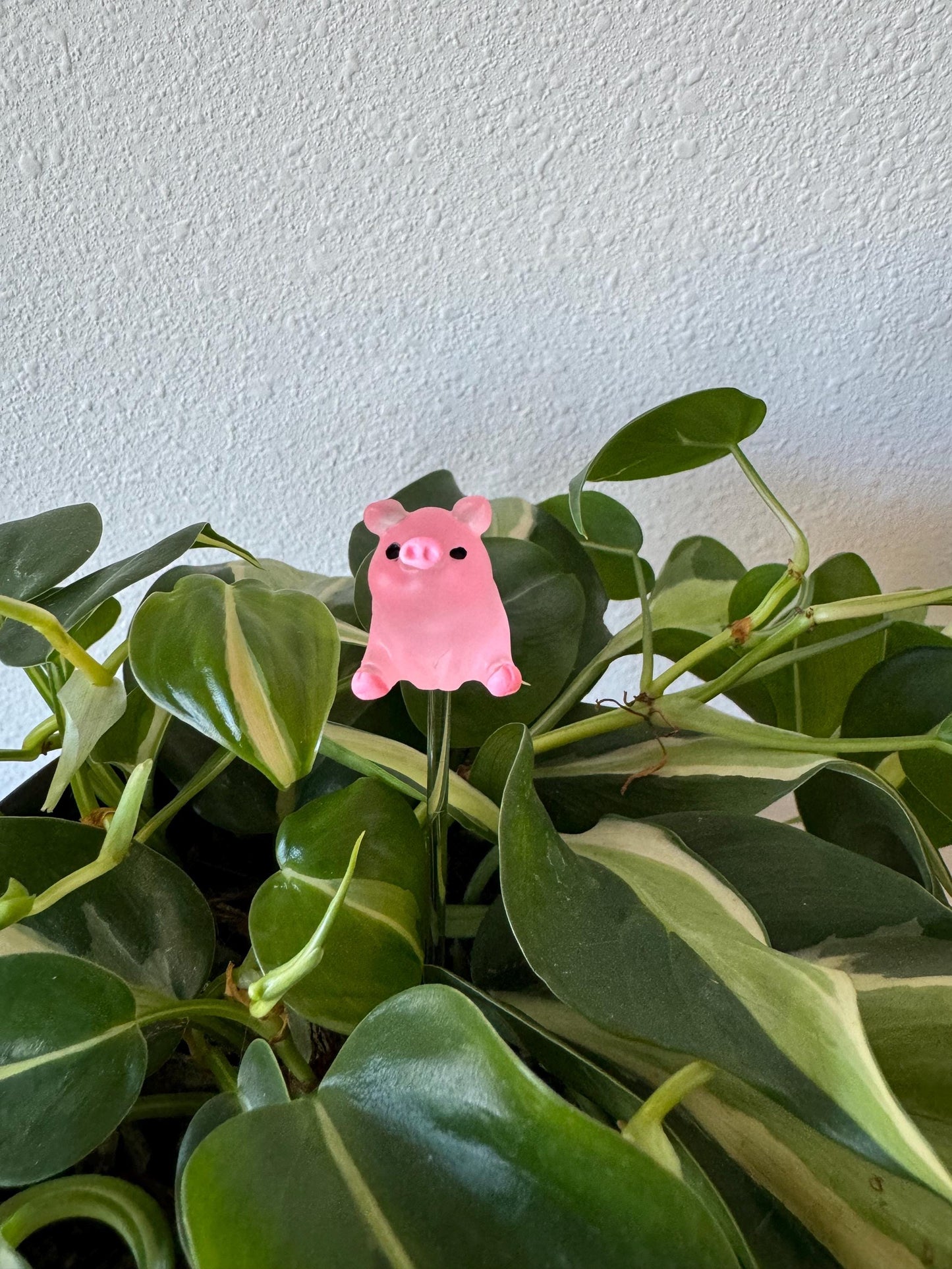 Plant Buddy Posing Pigs - Plant Stake 6" Plant Decoration