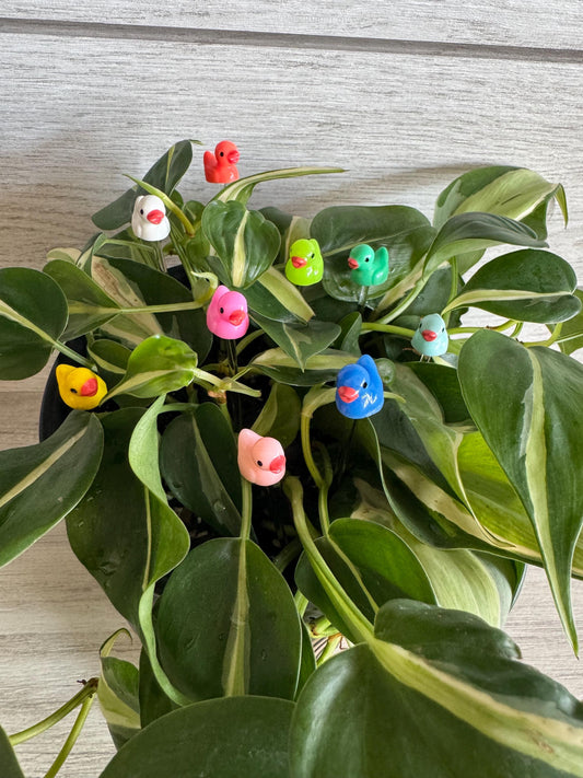 Plant Buddy Small Duck - Plant Stake 4” plant decoration