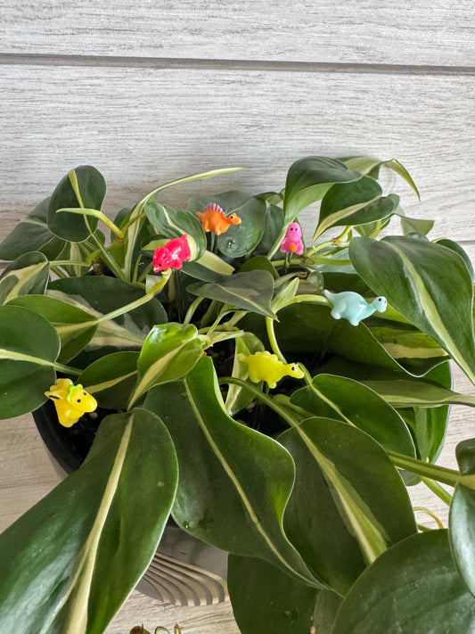 Plant Buddy - Small Dinosaurs & Chameleons - Plant Stake 4" Plant Decoration
