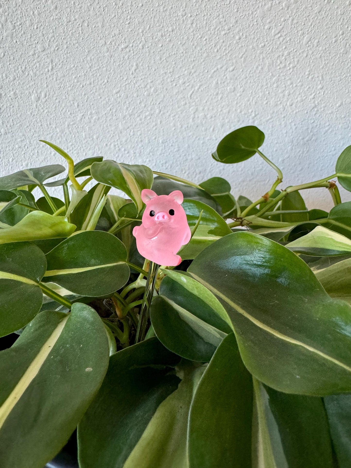 Plant Buddy Posing Pigs - Plant Stake 6" Plant Decoration
