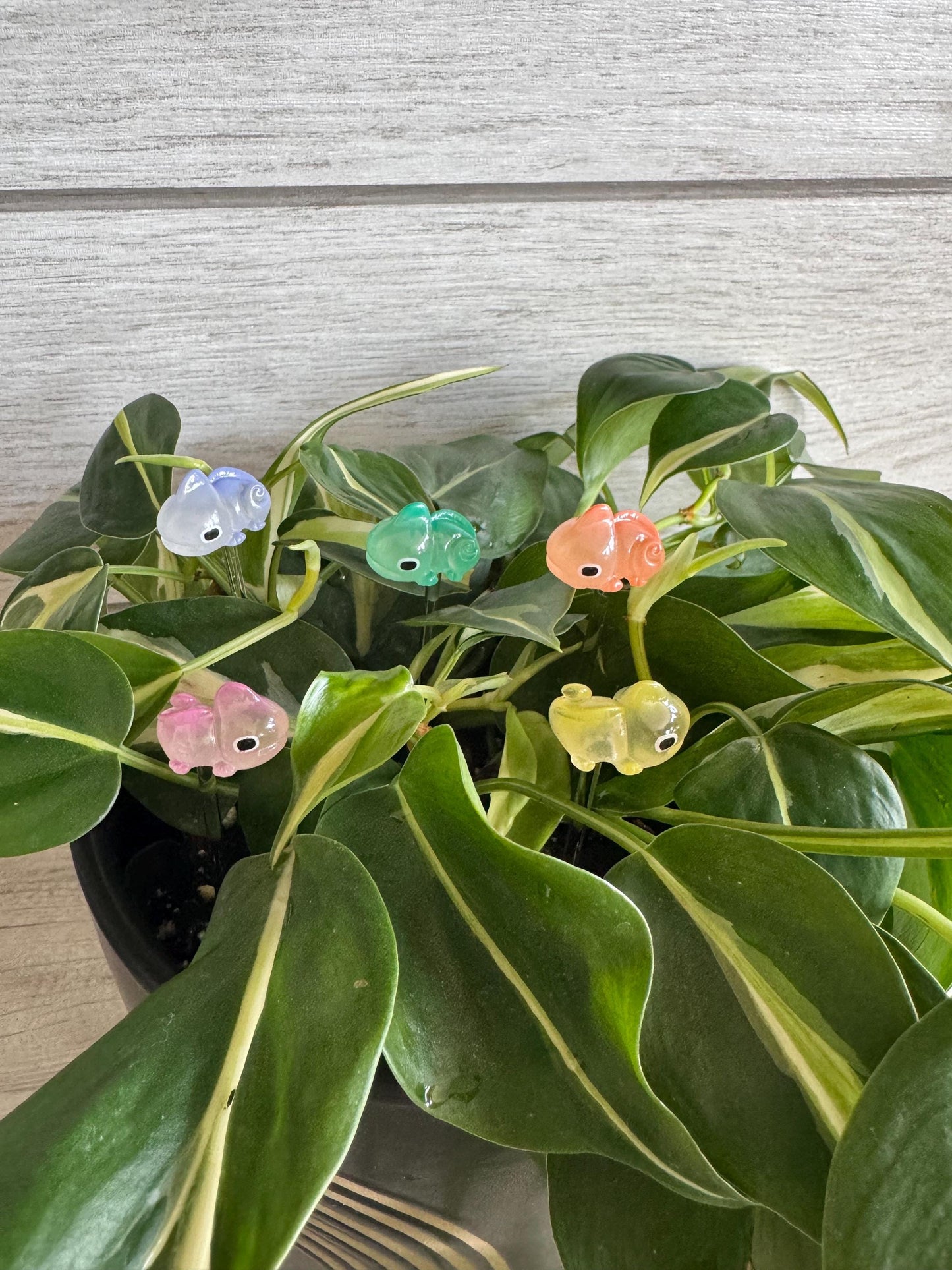Plant Buddy - Small Dinosaurs & Chameleons - Plant Stake 4" Plant Decoration