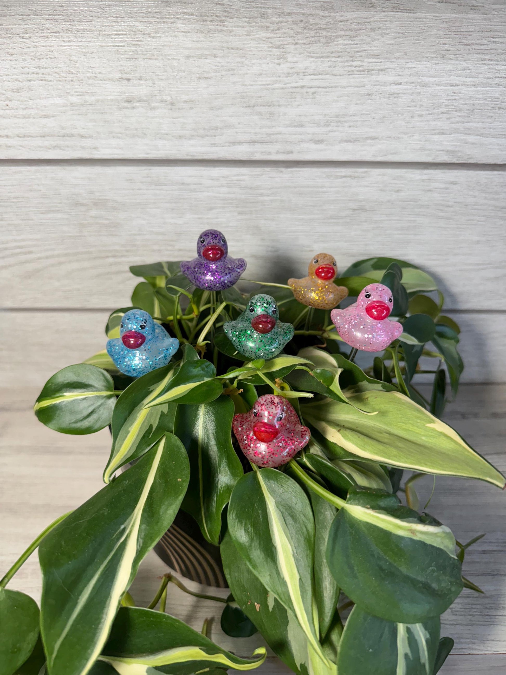 Plant Buddy - Glitter Rubber Ducks - Plant Stake 6" Plant Decoration