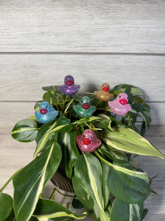 Plant Buddy - Glitter Rubber Ducks - Plant Stake 6" Plant Decoration
