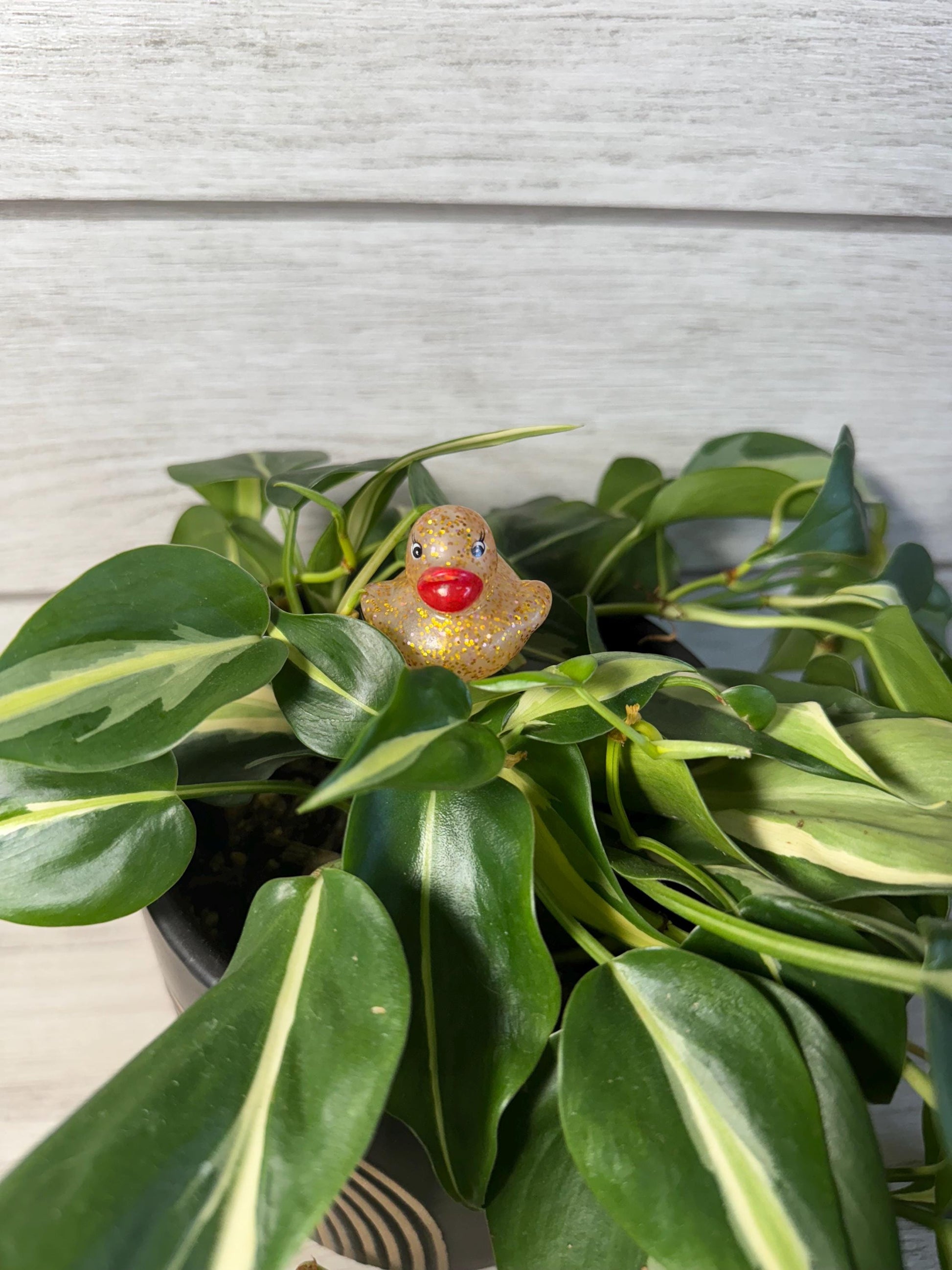 Plant Buddy - Glitter Rubber Ducks - Plant Stake 6" Plant Decoration