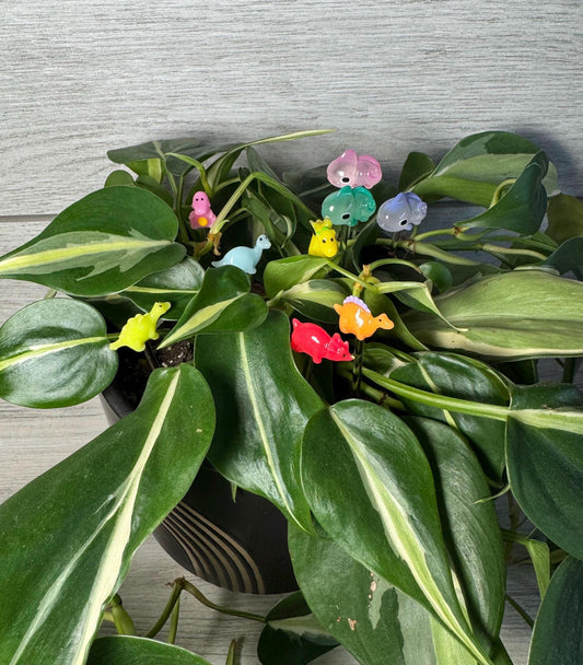 Plant Buddy - Small Dinosaurs & Chameleons - Plant Stake 4" Plant Decoration