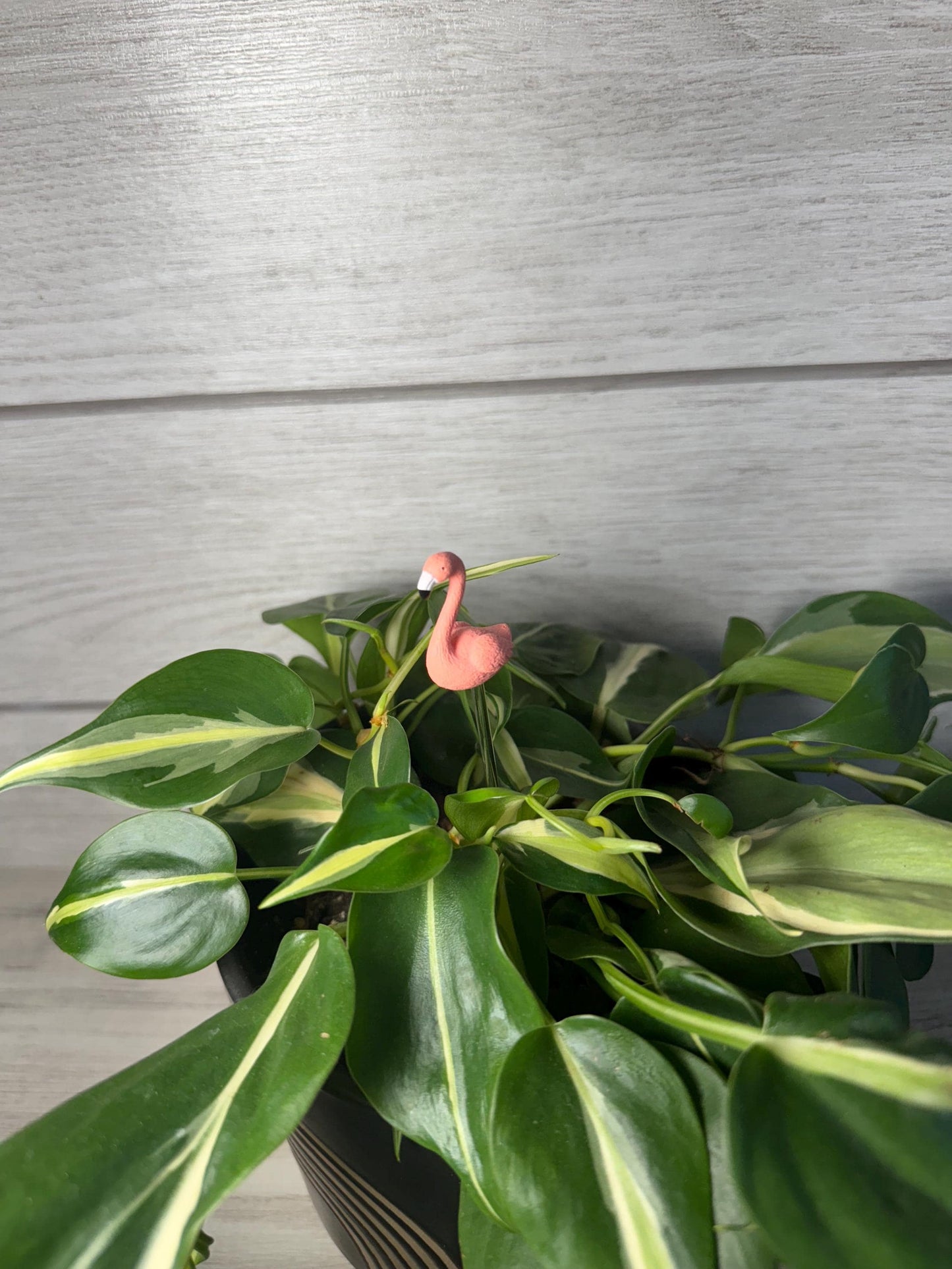 Plant Buddy - Animals - Plant Stake 6" Plant Decoration
