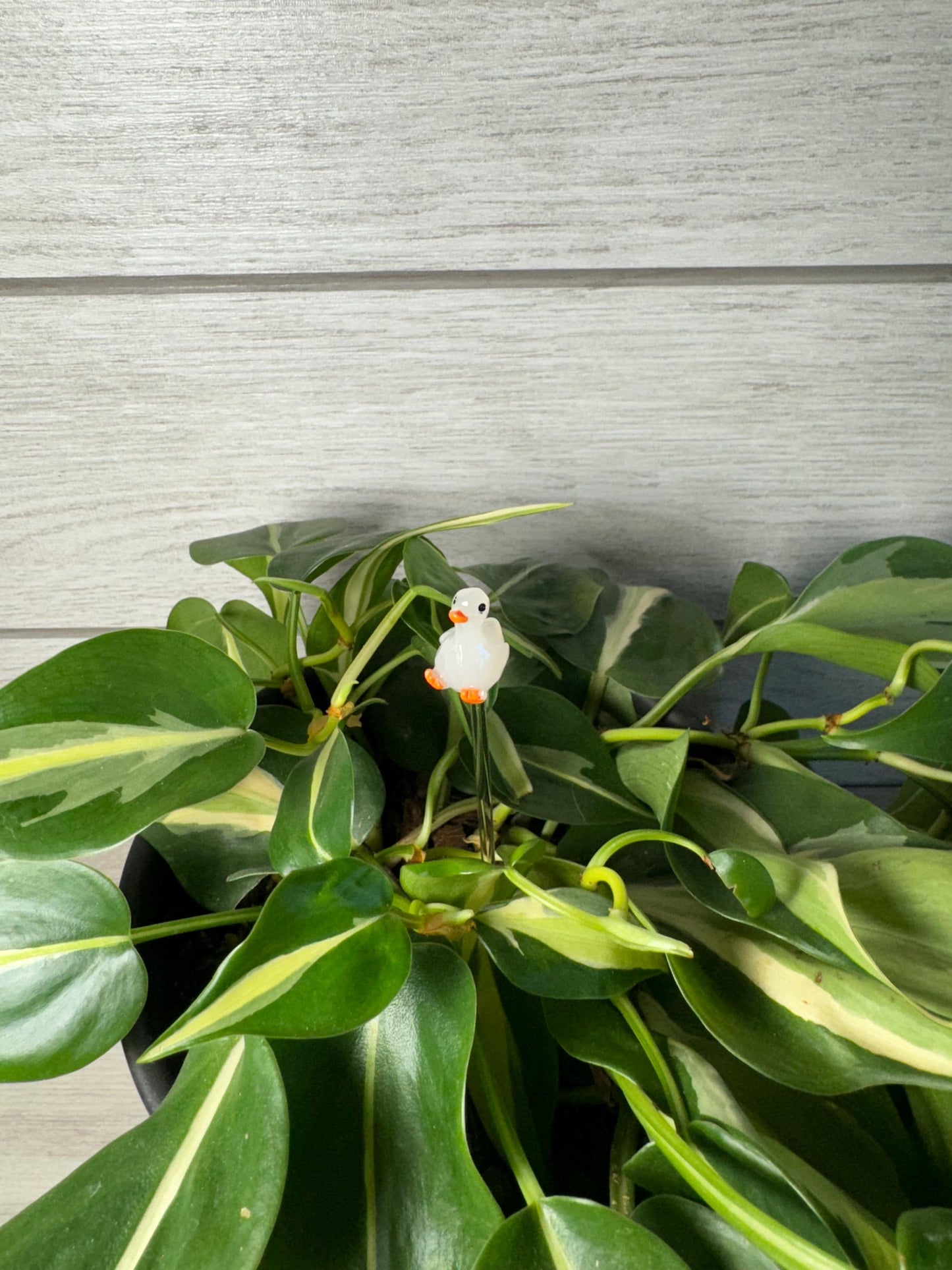 Plant Buddy - Animals - Plant Stake 6" Plant Decoration