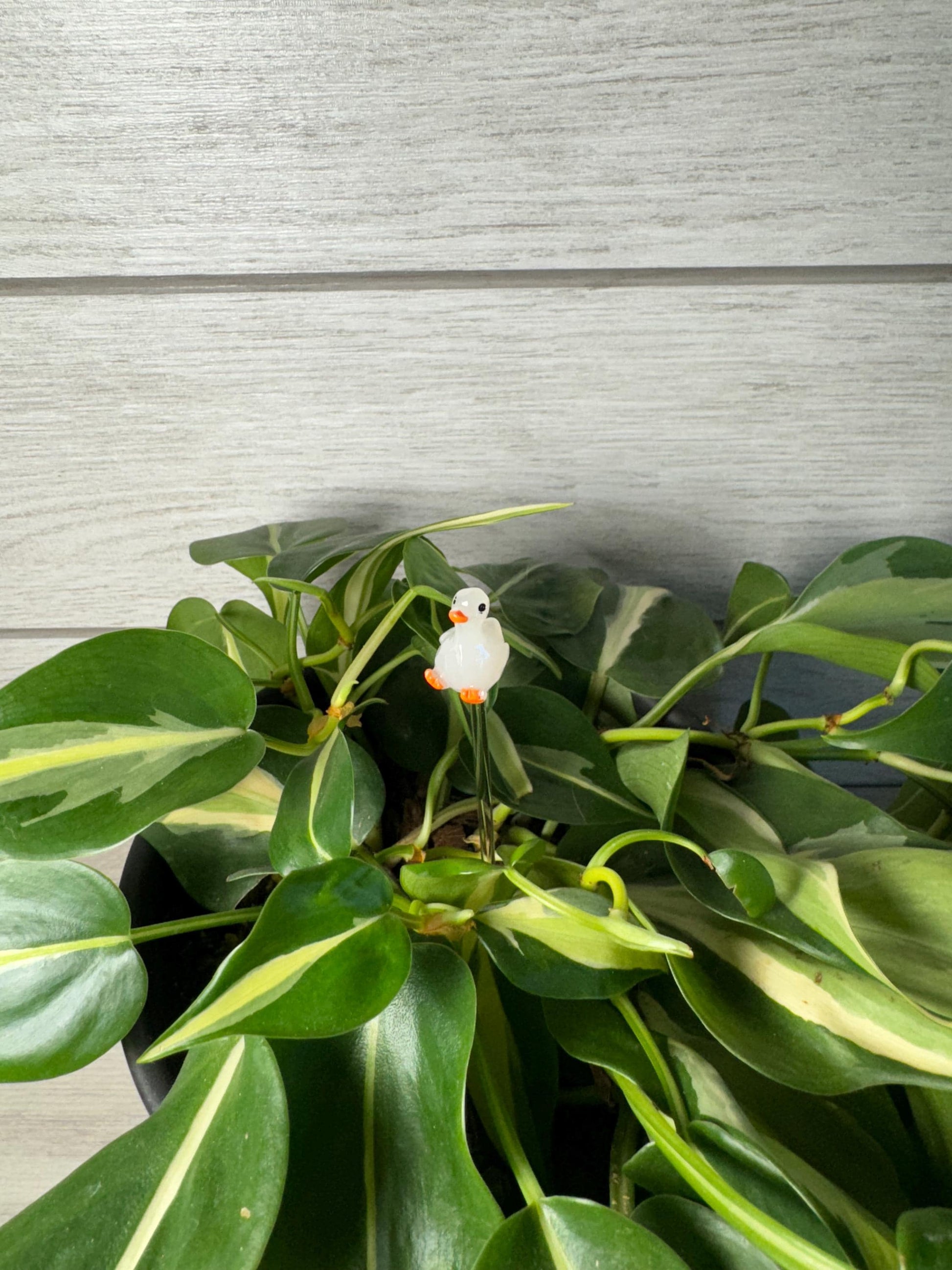 Plant Buddy - Animals - Plant Stake 6" Plant Decoration