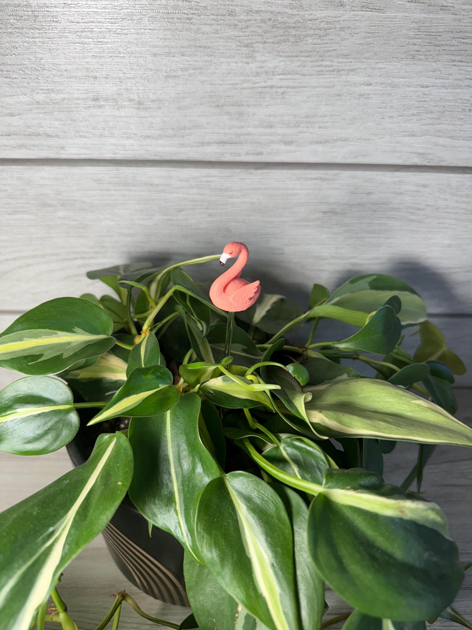 Plant Buddy - Animals - Plant Stake 6" Plant Decoration