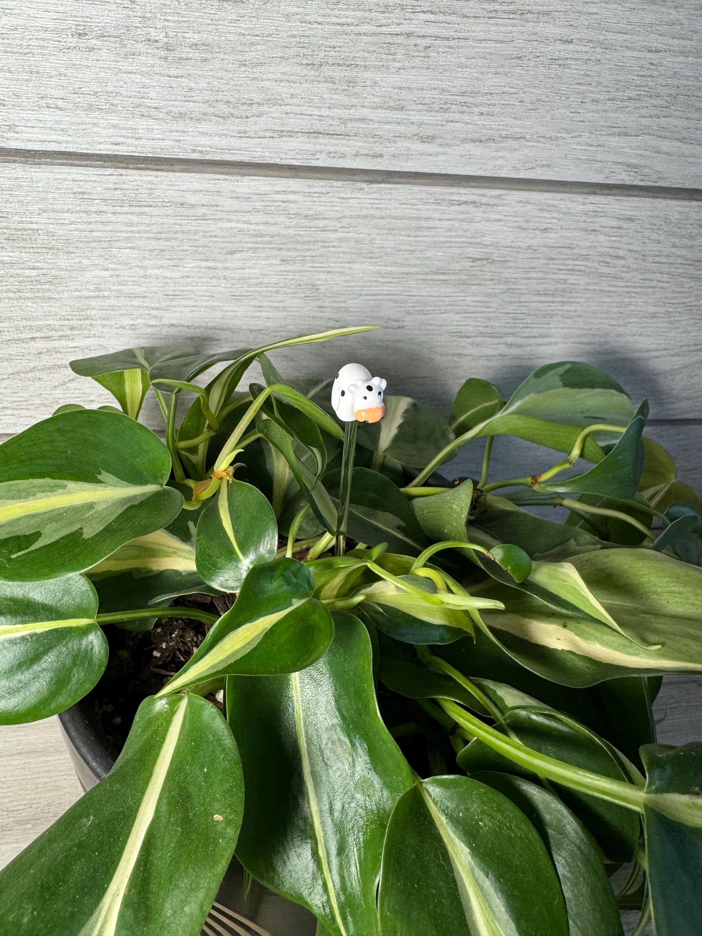Plant Buddy - Animals - Plant Stake 6" Plant Decoration