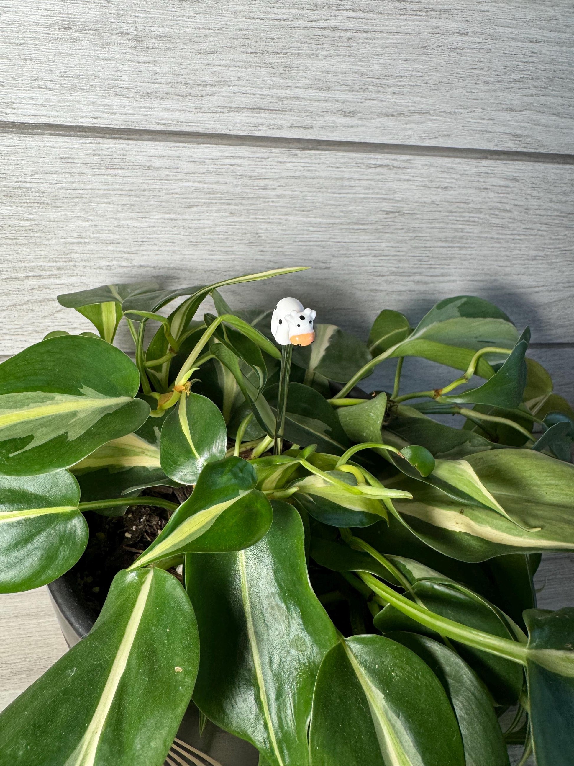 Plant Buddy - Animals - Plant Stake 6" Plant Decoration