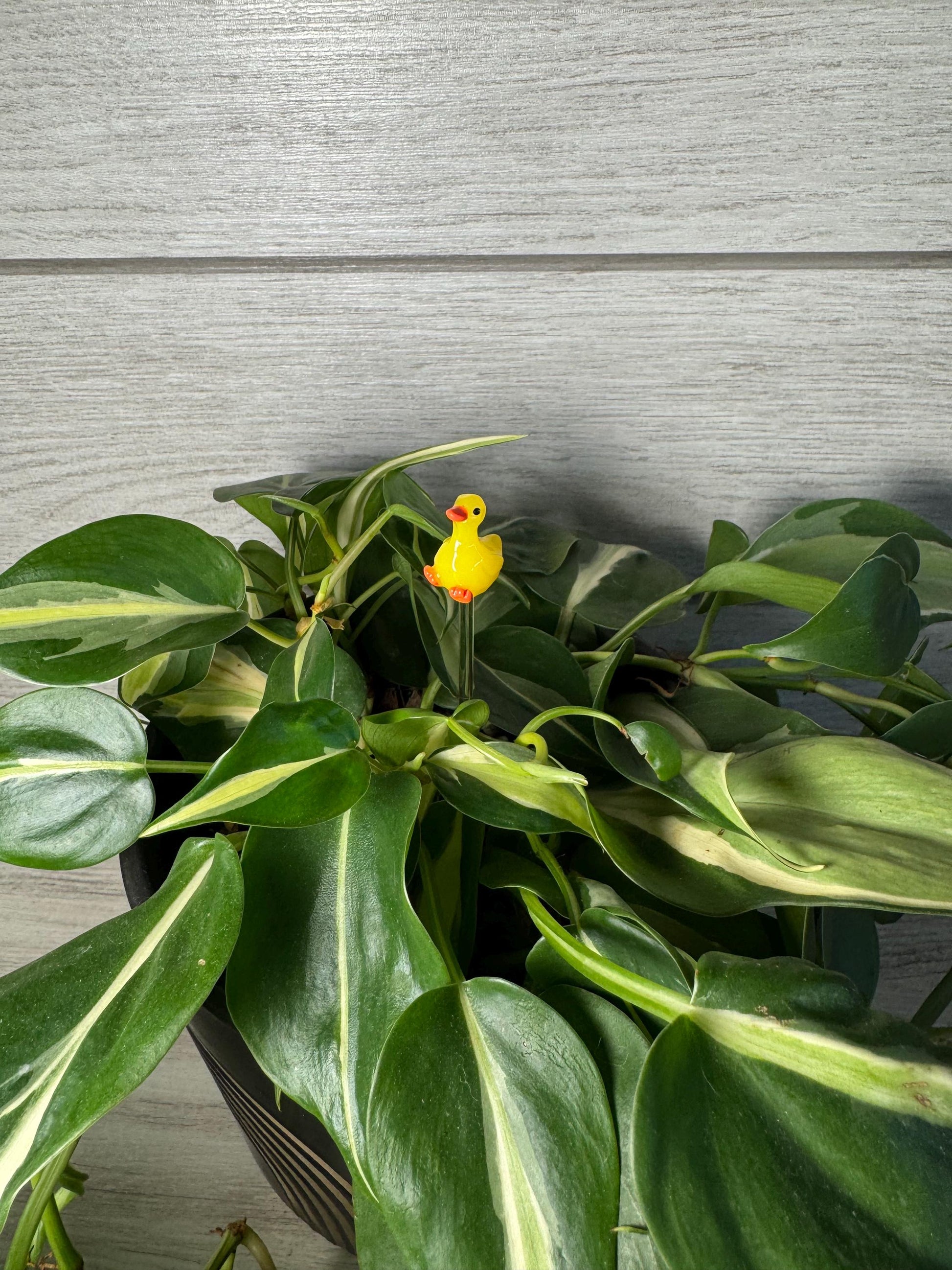 Plant Buddy - Animals - Plant Stake 6" Plant Decoration