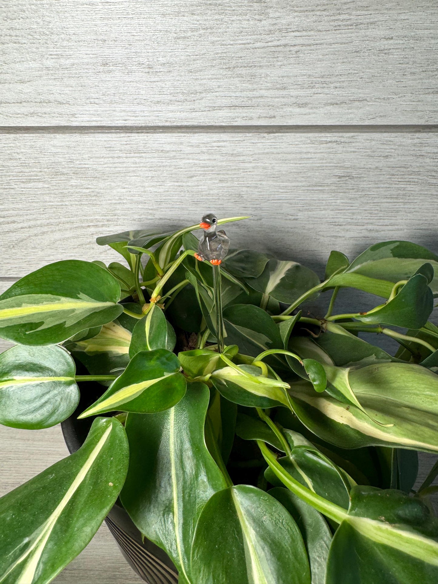 Plant Buddy - Animals - Plant Stake 6" Plant Decoration