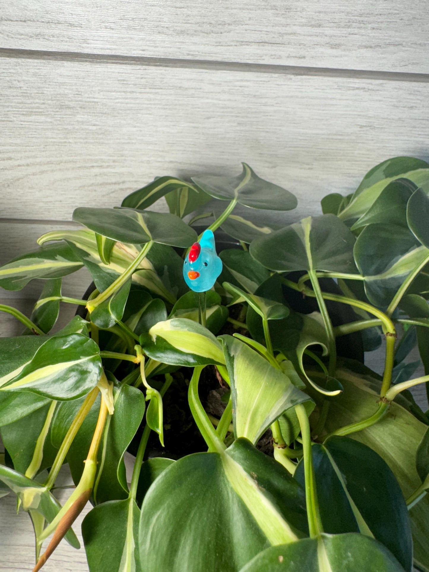 Plant Buddy - Chickens - Plant Stake 6" Plant Decoration
