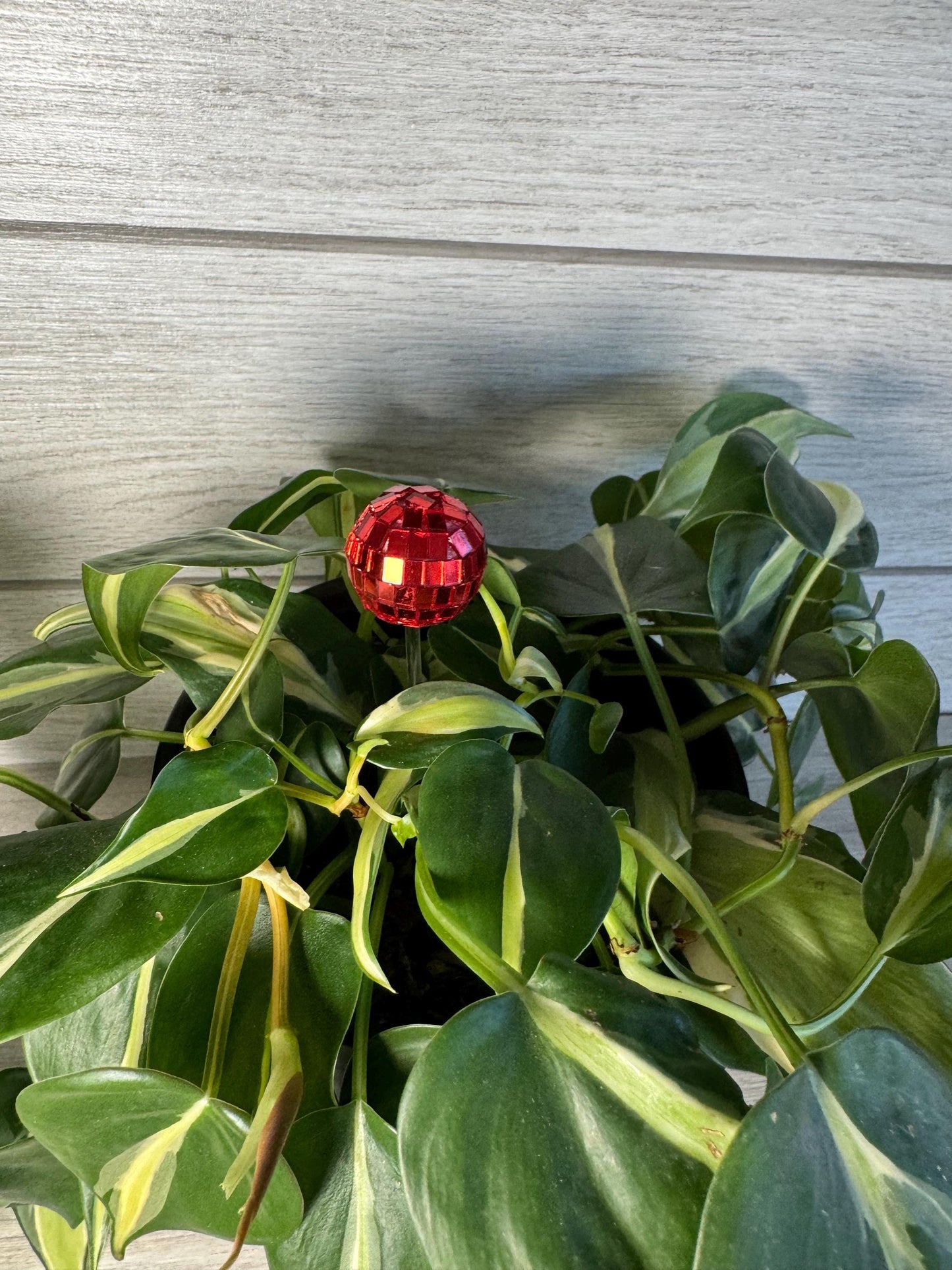 Plant Buddy - Disco Ball - Plant Stake 6" Plant Decoration