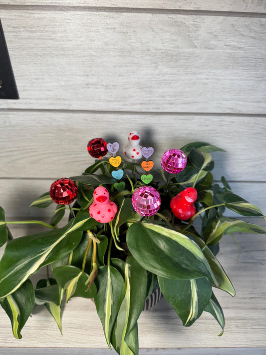 Plant Buddy - Valentines Day - Plant Stake 6" Plant Decoration