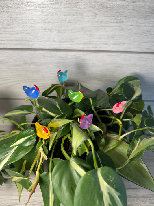 Plant Buddy - Chickens - Plant Stake 6" Plant Decoration
