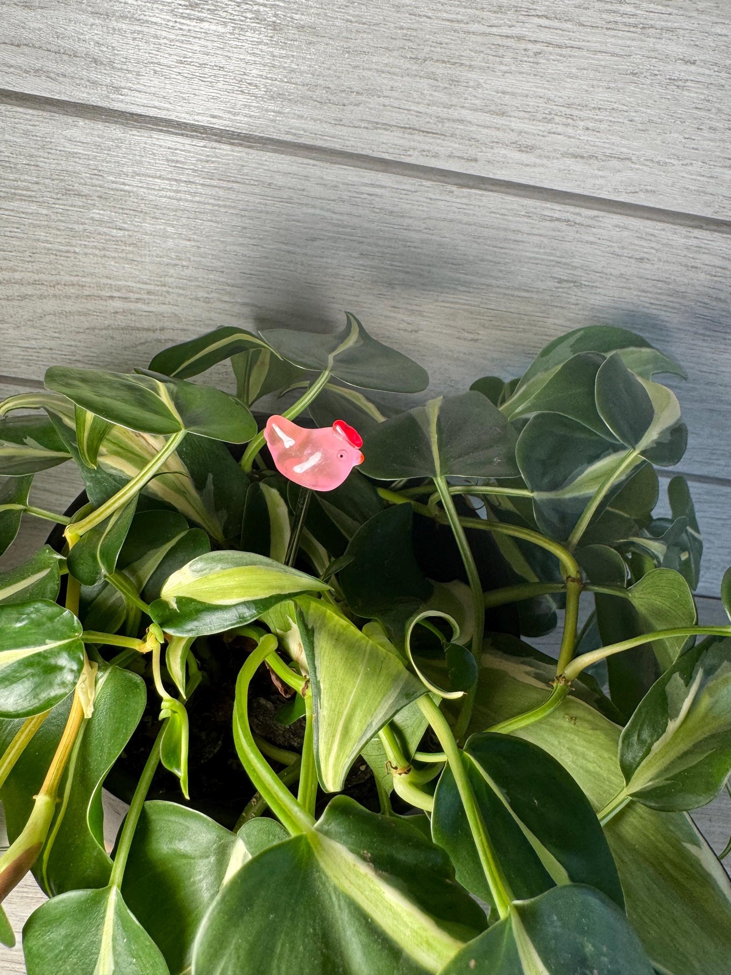 Plant Buddy - Chickens - Plant Stake 6" Plant Decoration