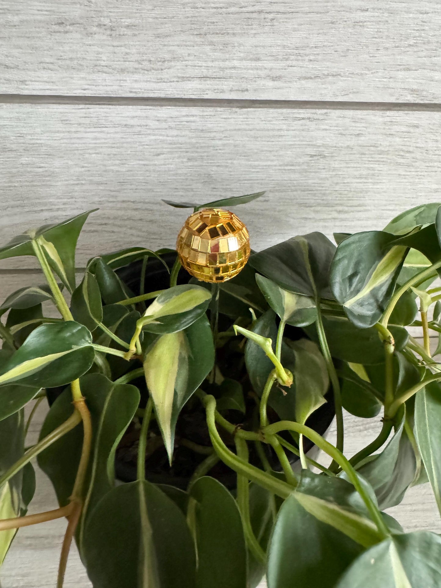 Plant Buddy - Disco Ball - Plant Stake 6" Plant Decoration