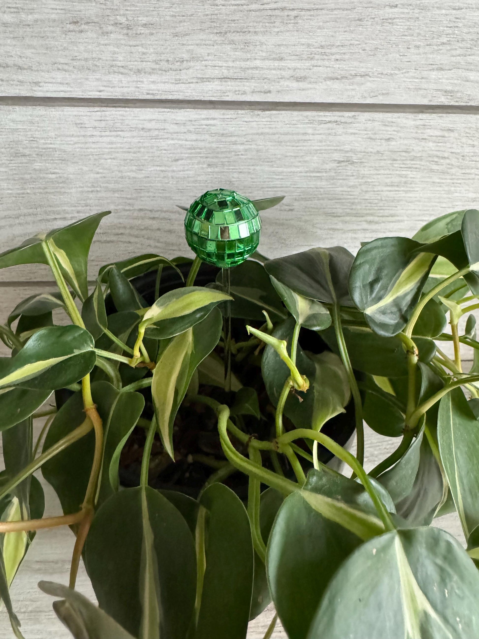 Plant Buddy - Disco Ball - Plant Stake 6" Plant Decoration